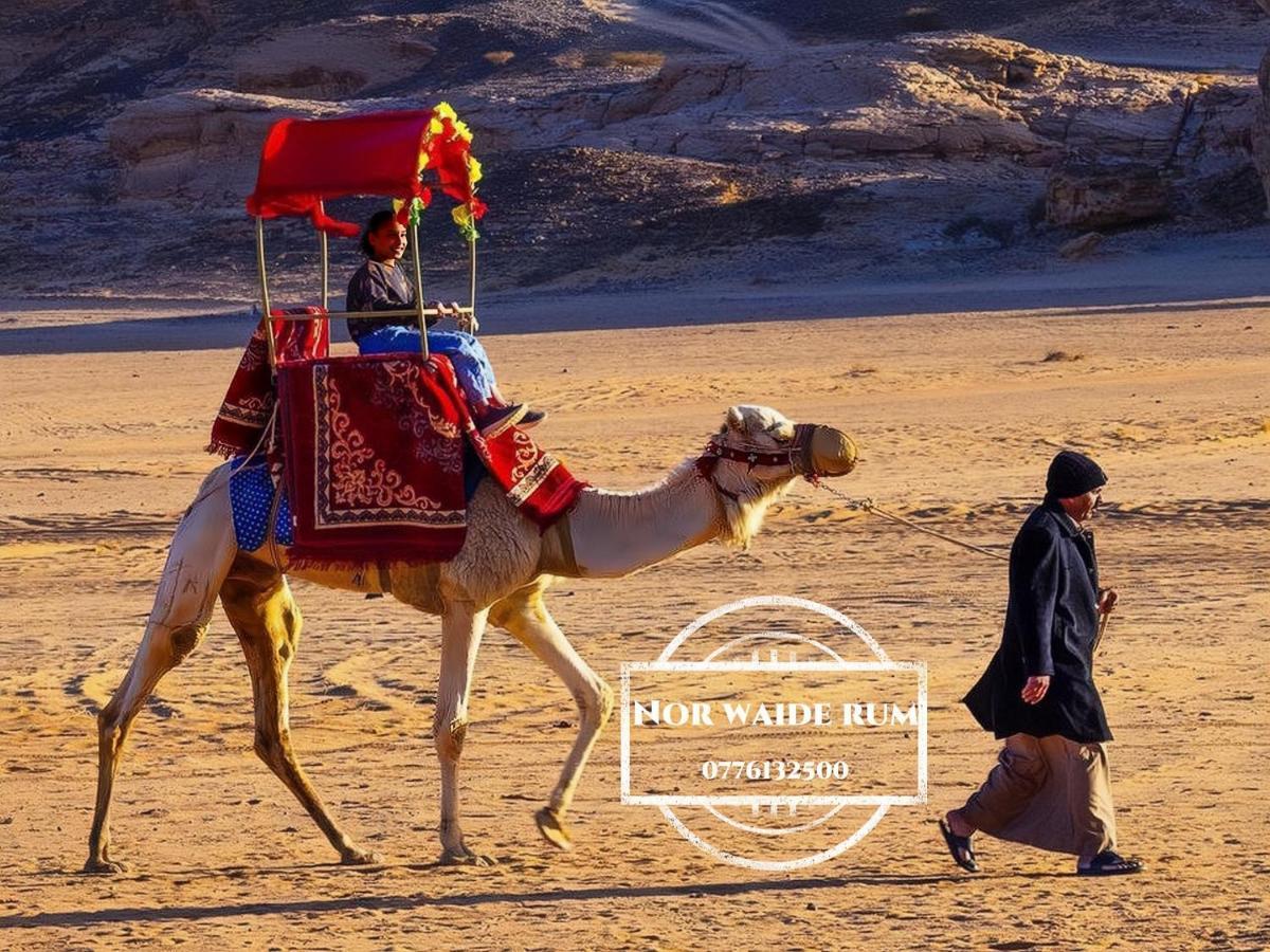 Nor Wadi Rum Exterior photo